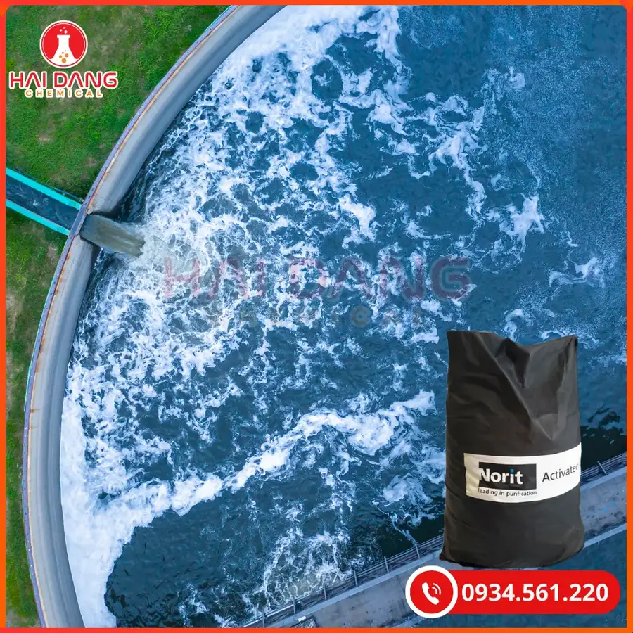 Than hoạt tính Norit PK13M Ấn Độ 12,5kg/bao Tại Quảng Ninh