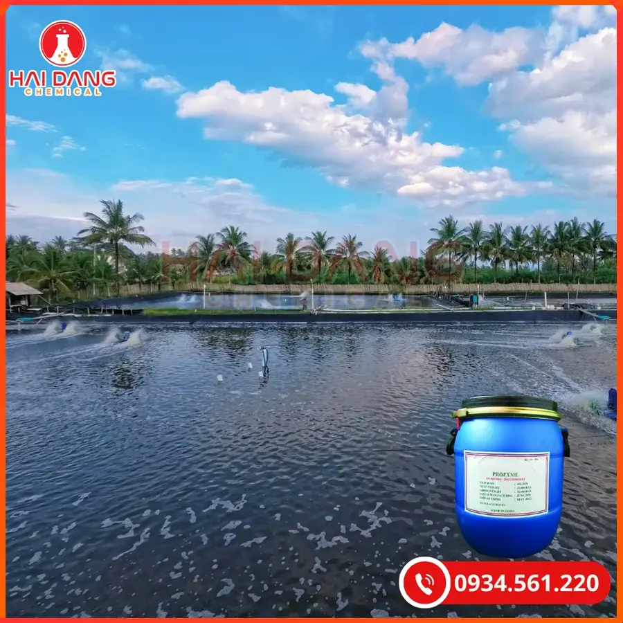 Prozyme Enzyme 25kg/thùng Tại Quảng Ninh
