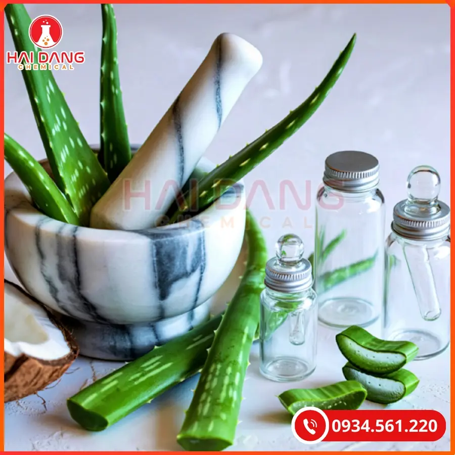 Aloe Vera Oil Trung Quốc Tại Quảng Ninh