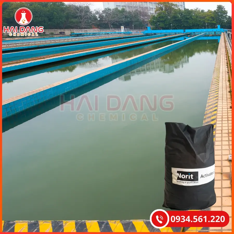 Than hoạt tính Norit PK13M Ấn Độ 12,5kg/bao Tại Quảng Ninh