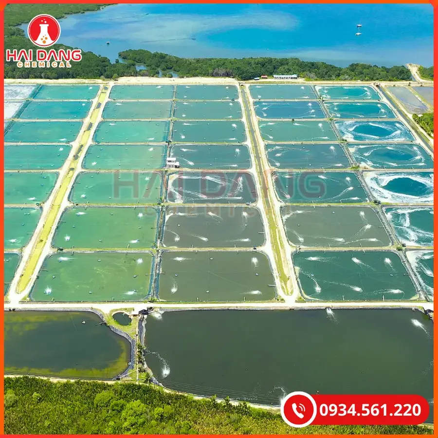 Chlorine Dioxide 1kg/gói Tại Quảng Ninh