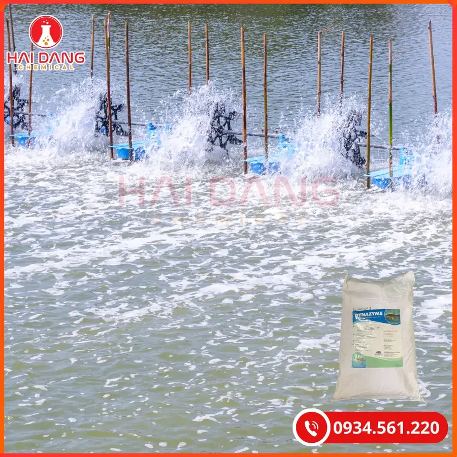 Enzyme Dynazyme 25kg/bao Tại Quảng Ninh