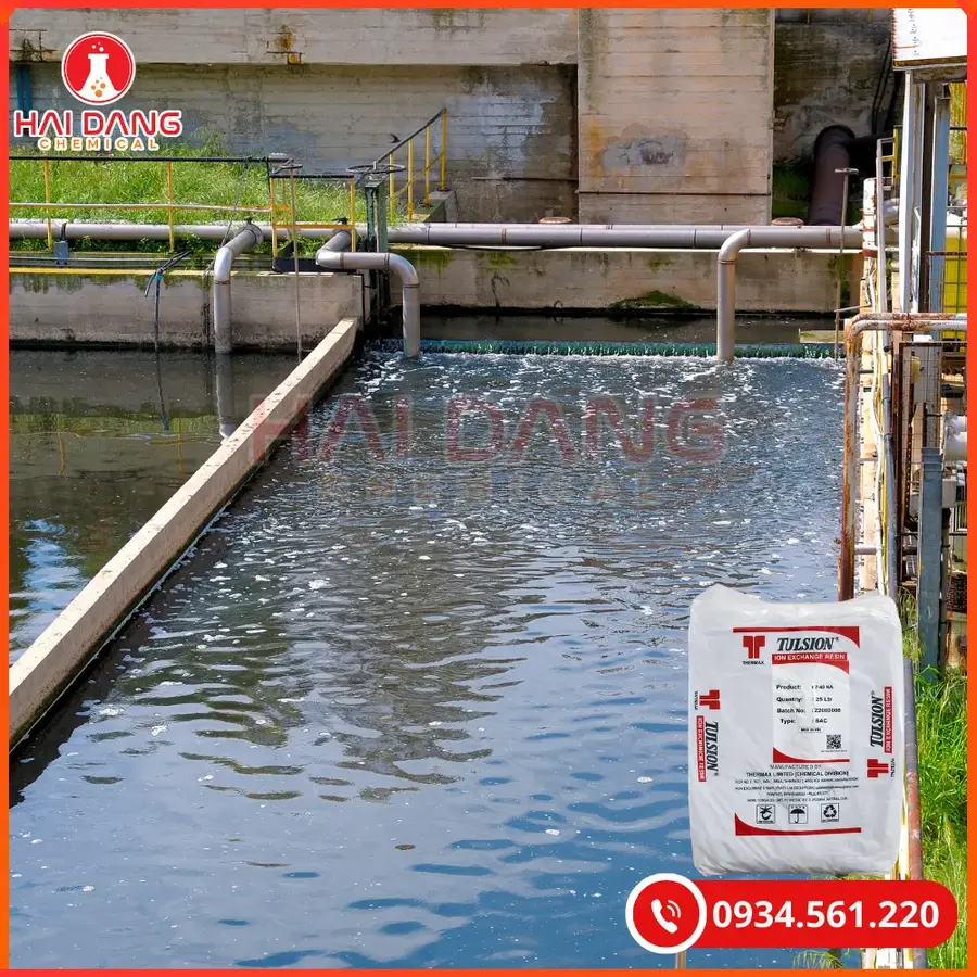 Cation Tulsion T40Na Ấn Độ 25 lít/bao Tại Quảng Ninh