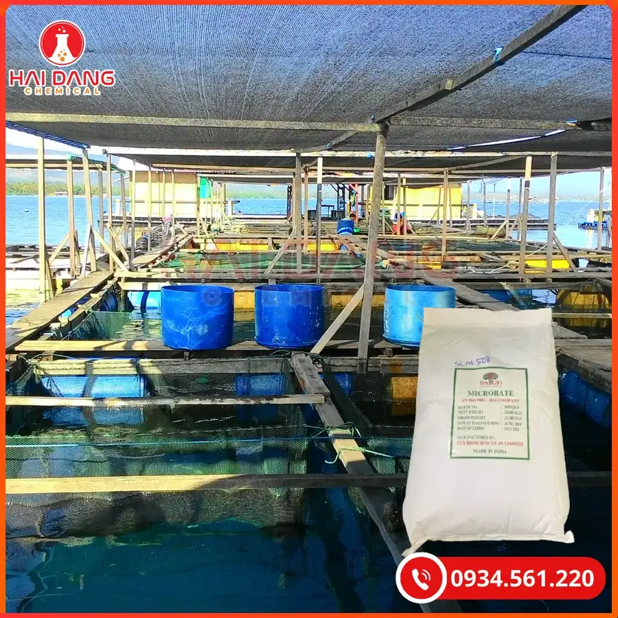 Microbate 25kg/bao Tại Quảng Ninh