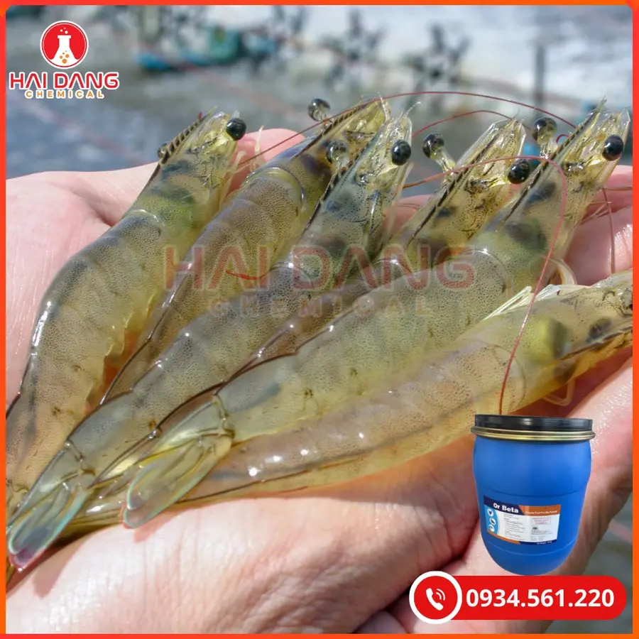 Enzyme Or-Beta 25kg/thùng Tại Quảng Ninh