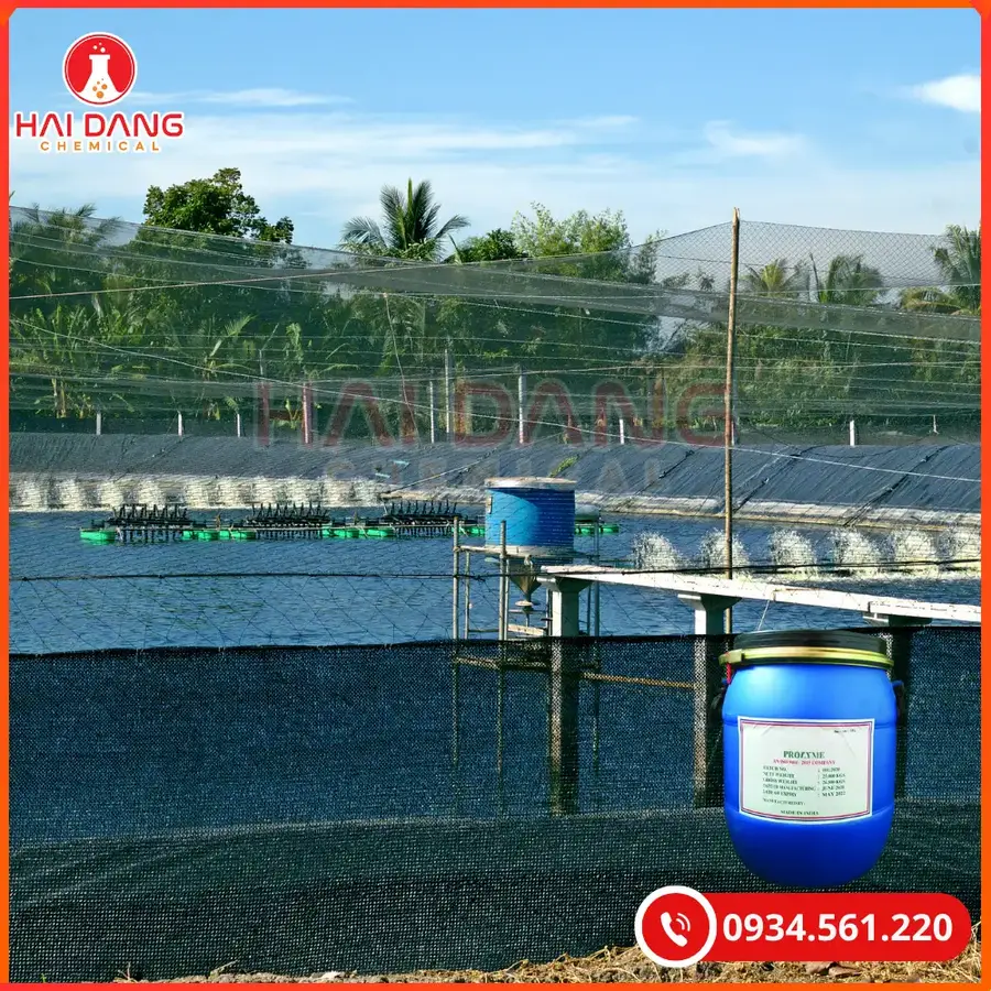 Prozyme Enzyme 25kg/thùng Tại Quảng Ninh