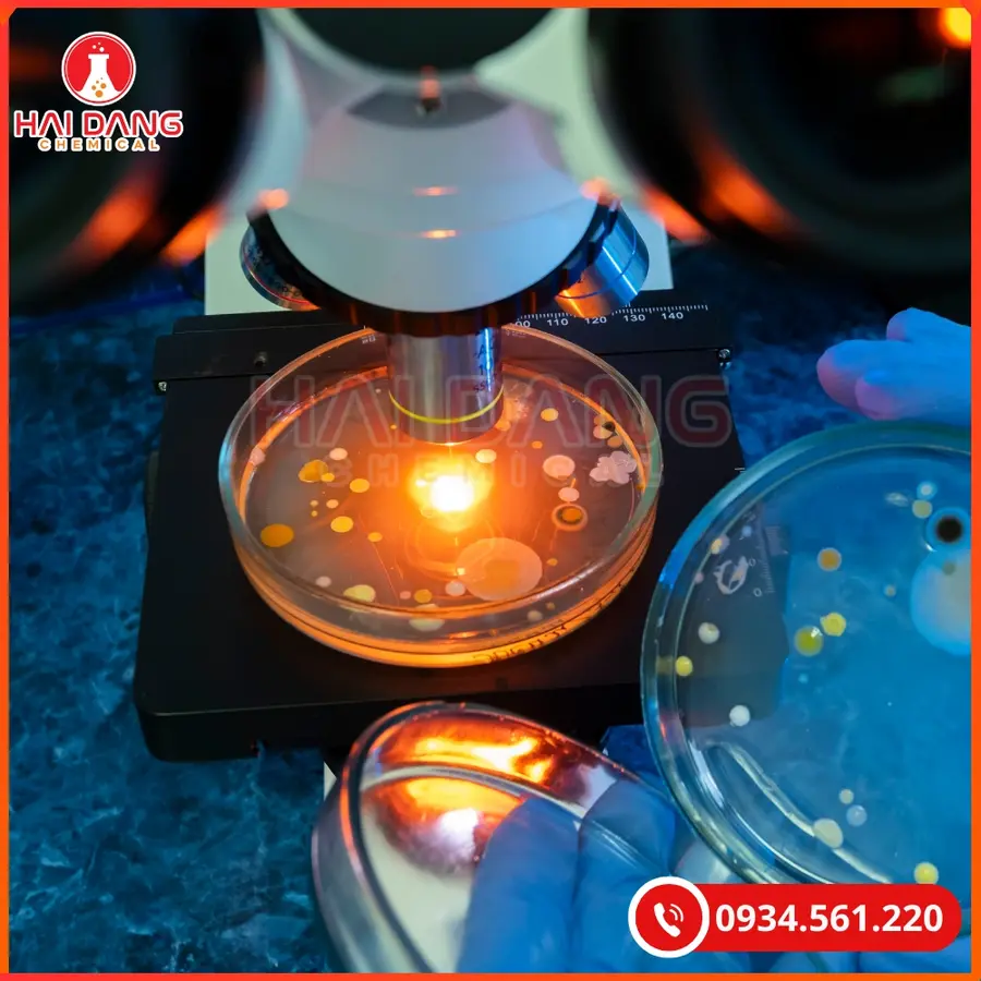 Sodium Stanat (Na2SnO3·3H2O) Xilong 500g Tại Quảng Ninh