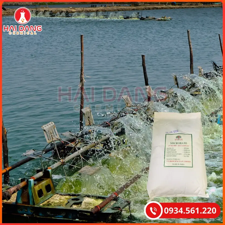 Microbate Bao 25kg Tại Quảng Ninh