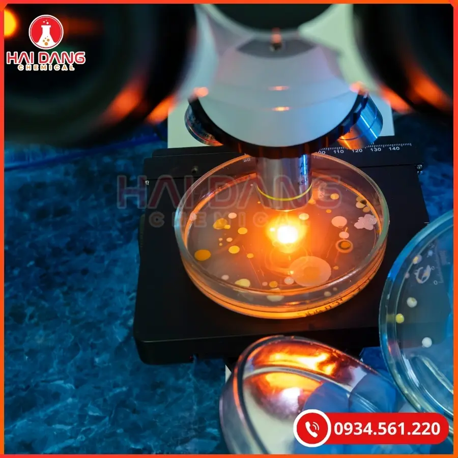 Maleic acid C4H4O4 Sigma 500g Tại Quảng Ninh