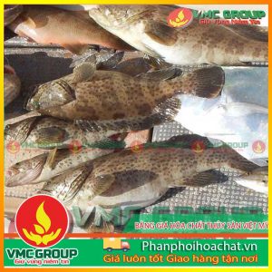 bang-gia-hoa-chat-thuy-san-viet-my-pphcvm